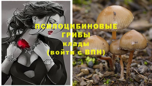 соль курить ск Беломорск